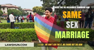 Same-Sex Common Law Marriage: US Recognition?