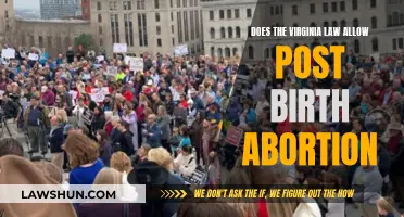 Virginia's Abortion Laws: Post-Birth Abortion and Its Legality