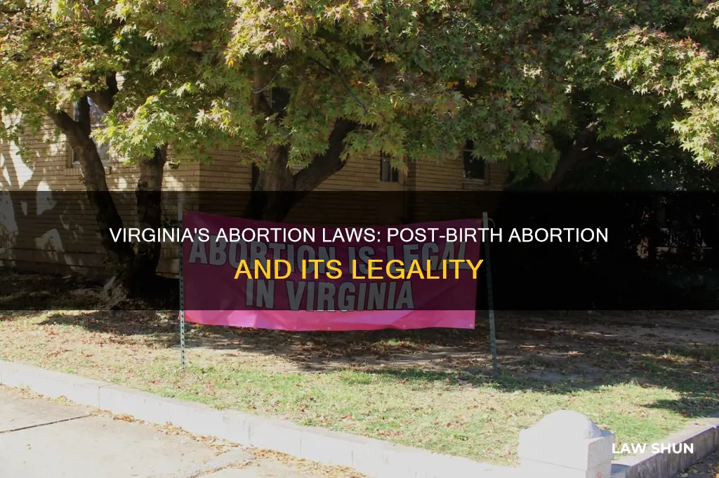 does the virginia law allow post birth abortion