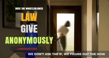Unveiling Anonymity: Understanding Whistleblower Laws and Protections