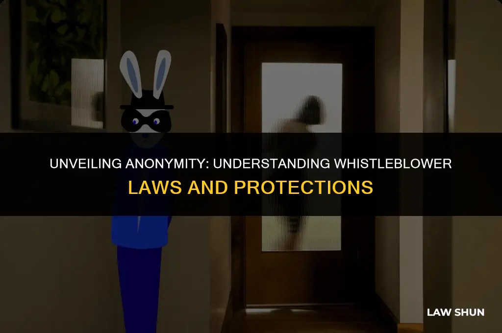does the whistleblower law give anonymously