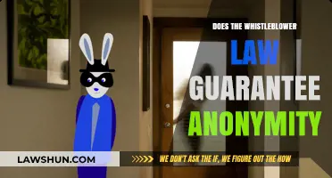 Unveiling Truths: Does the Whistleblower Law Truly Guarantee Anonymity?