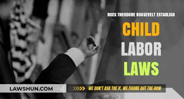 Theodore Roosevelt's Impact: Did He Establish Child Labor Laws?
