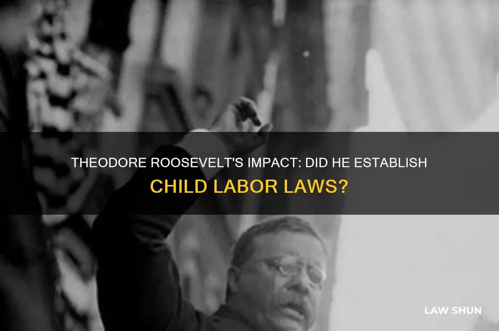 does theodore roosevelt establish child labor laws
