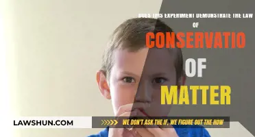 Does This Experiment Prove the Law of Conservation of Matter?