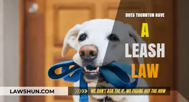 Exploring Thornton's Leash Law: A Comprehensive Guide for Pet Owners