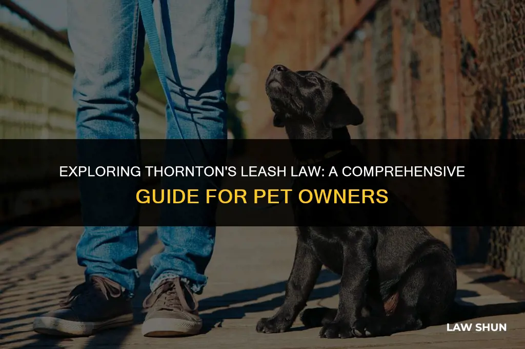 does thornton have a leash law