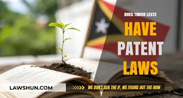 Exploring Intellectual Property: Timor-Leste's Patent Law Landscape