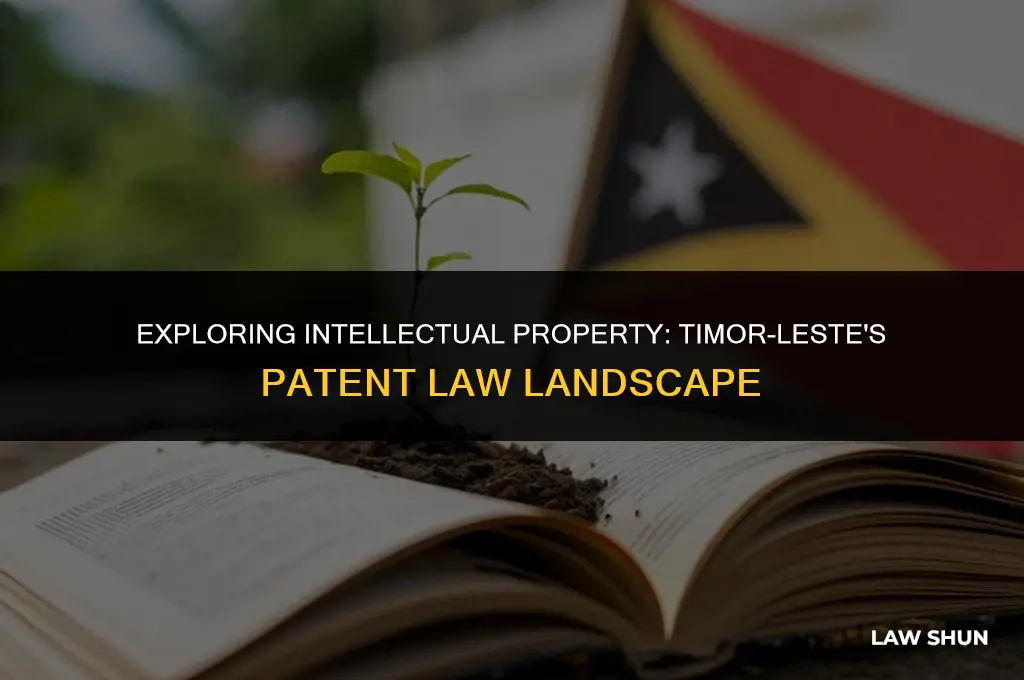 does timor leste have patent laws