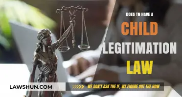 Understanding Tennessee's Child Legitimation Law: What Parents Need to Know