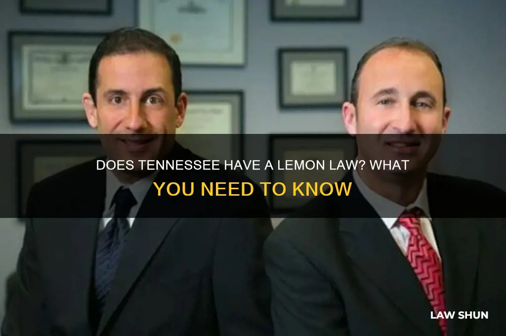 does tn have a lemon law
