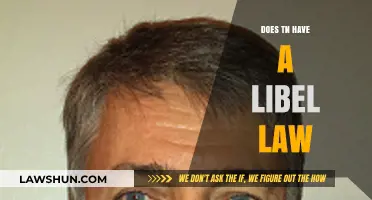 Understanding Libel Laws in Tennessee: A Comprehensive Guide