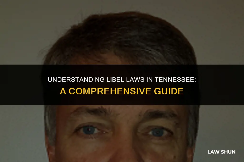 does tn have a libel law