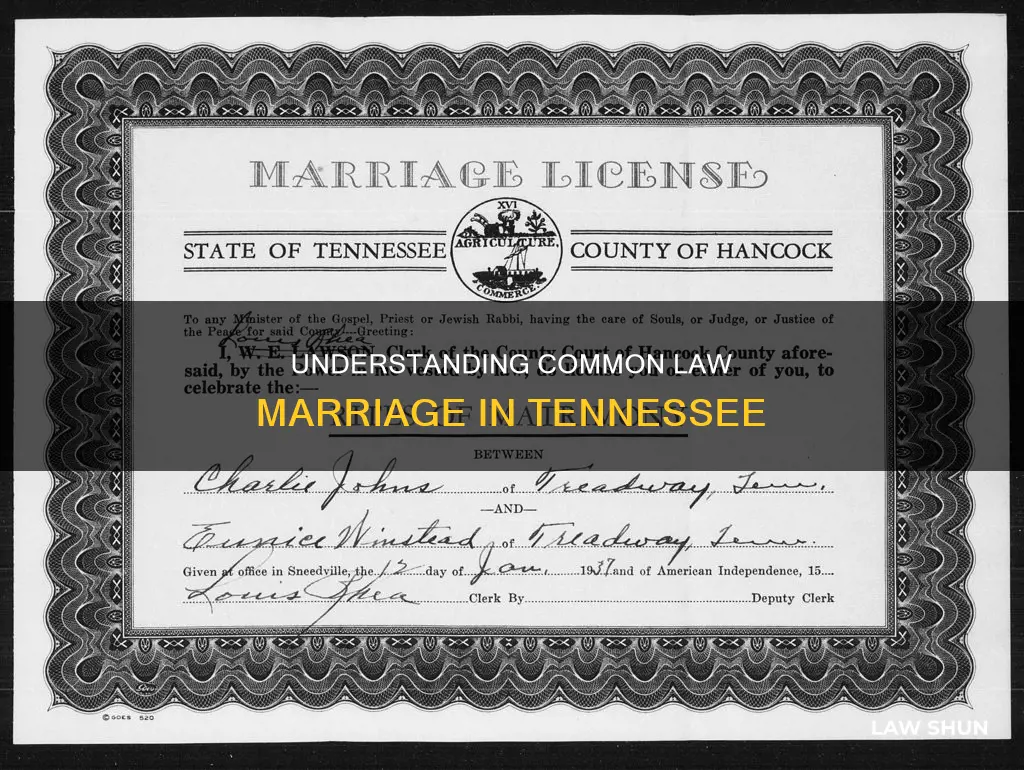 does tn recognize common law marriage