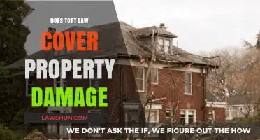 Does Tort Law Cover Property Damage? Understanding Legal Protections