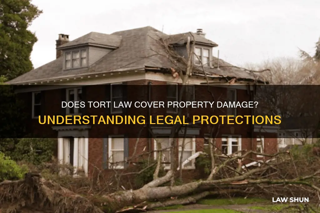 does tort law cover property damage