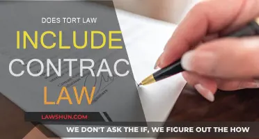Tort Law: Contracts and Beyond
