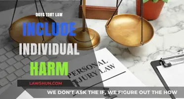 Understanding Tort Law: Does It Cover Individual Harm?