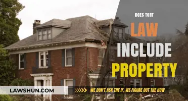 Does Tort Law Cover Property Rights and Damages?