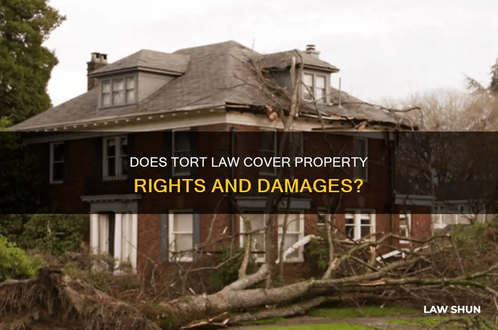 does tort law include property