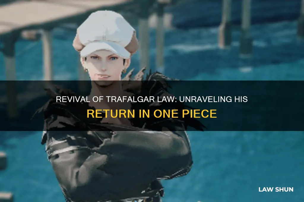 does trafalgar law come back to life