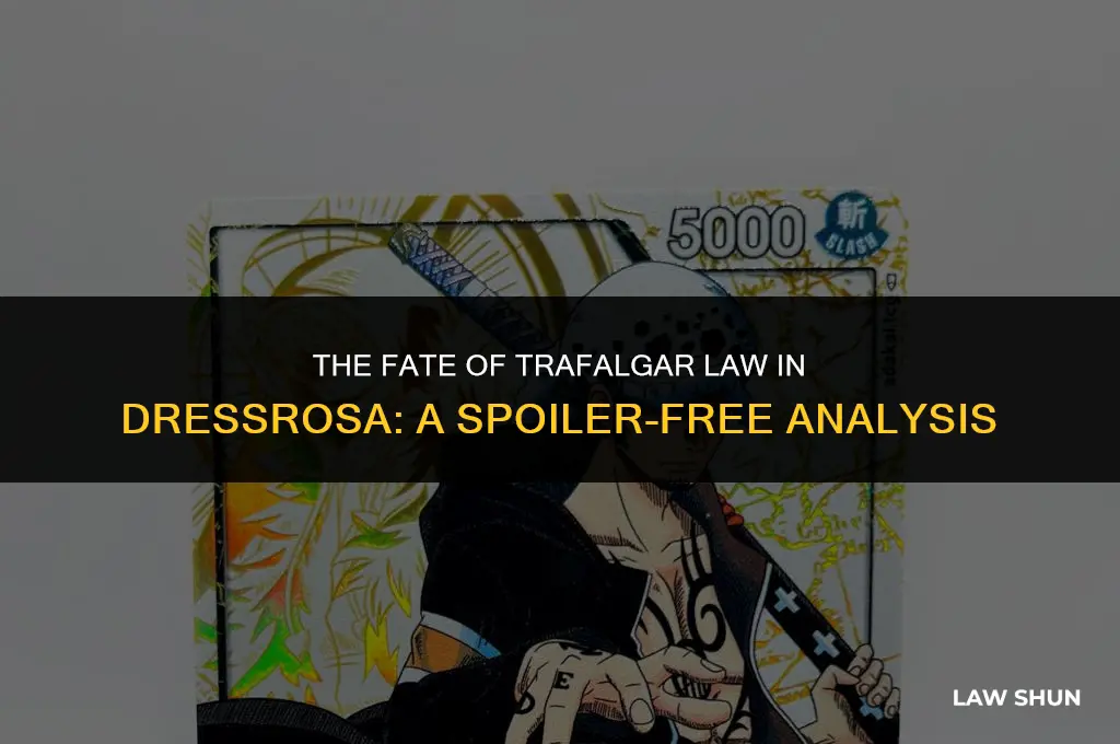 does trafalgar law die in dressrosa