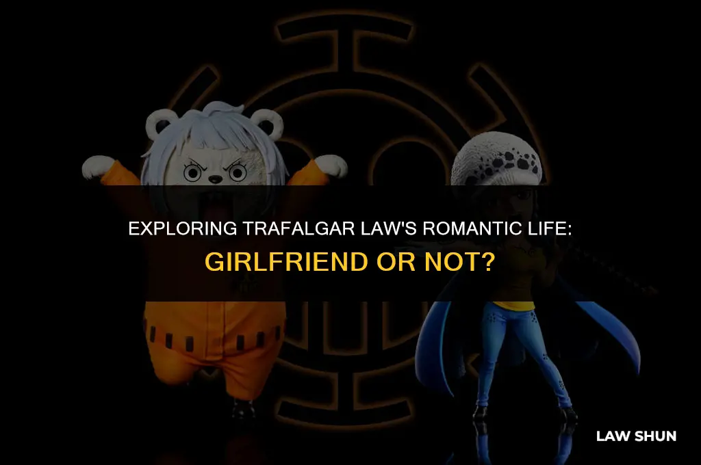 does trafalgar law have a girlfriend
