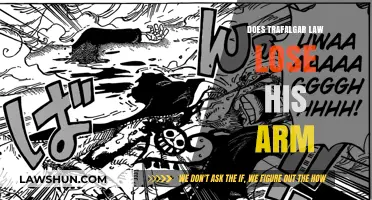 The Fate of Trafalgar Law's Arm: A One Piece Spoiler