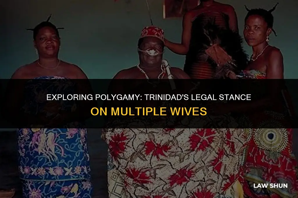 does trinidad law allow mulitiple wives