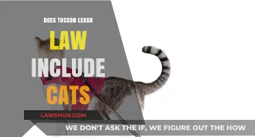 Exploring Tucson's Leash Laws: Do They Apply to Cats?