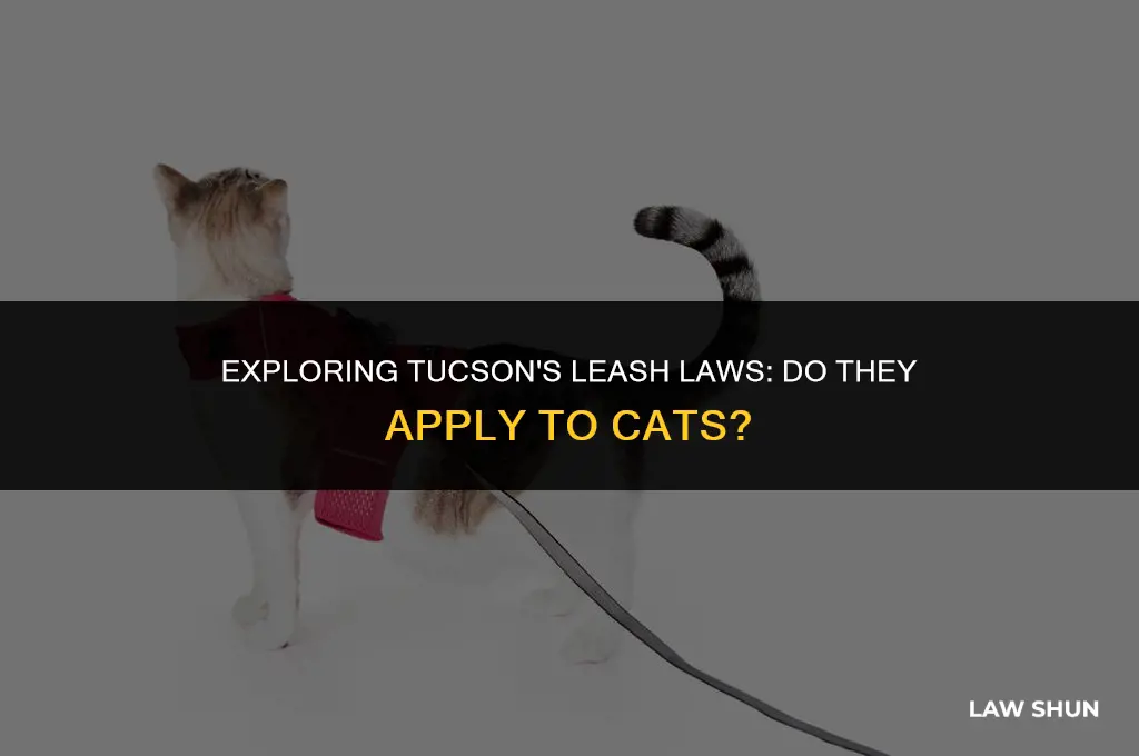 does tucson leash law include cats