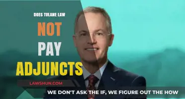Unpaid Adjuncts at Tulane Law: A Cause for Concern