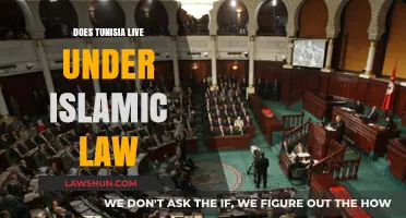 Exploring Tunisia's Legal Framework: Islamic Law's Influence Revealed