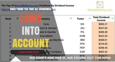 TurboTax: Are Your Dividend Taxes Covered?