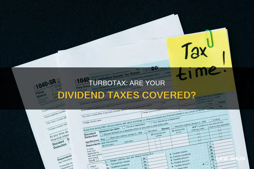 does turbo tax take all dividemds laws into account