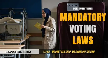 Exploring Turkey's Electoral System: The Truth About Mandatory Voting Laws