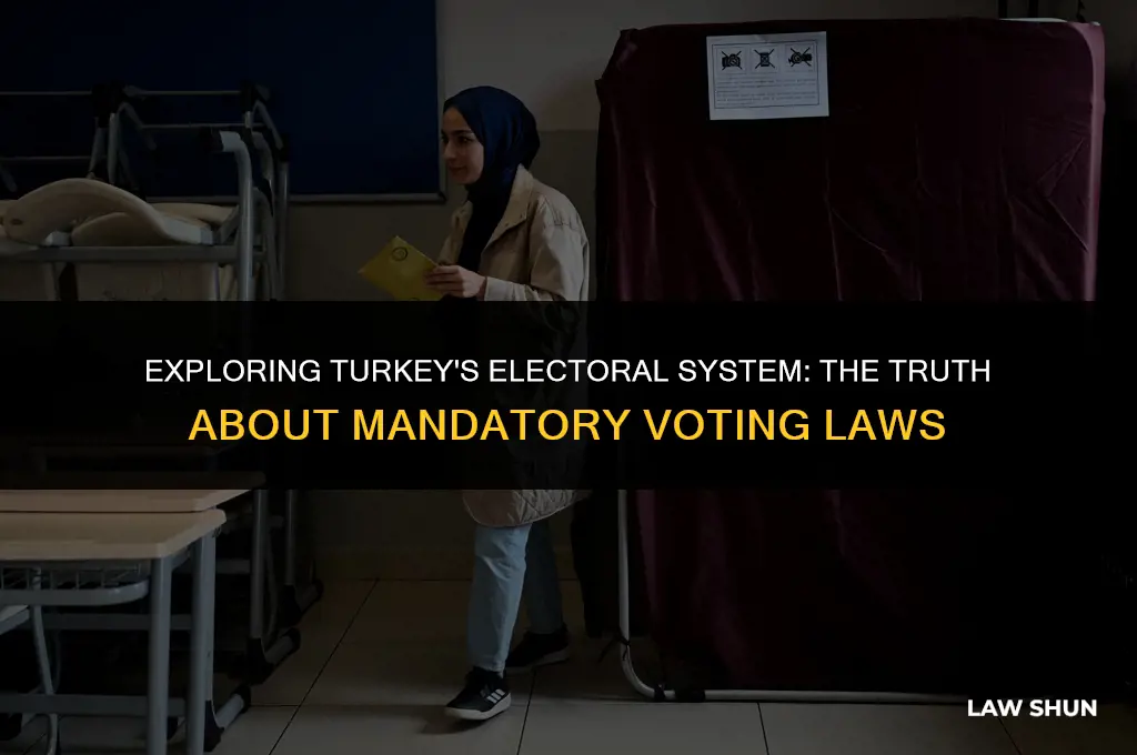 does turkey have mandatory voting laws
