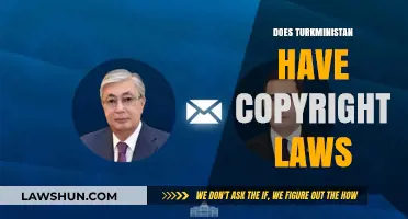 Turkmenistan's Copyright Laws: Understanding Legal Protections for Creative Works