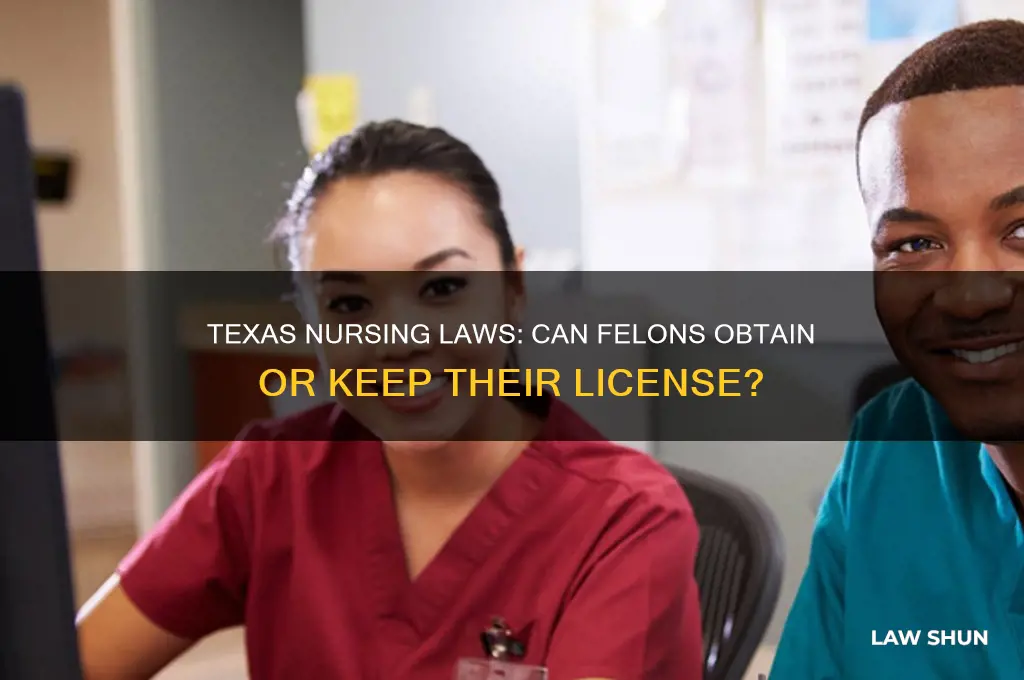does tx have a law for nurses with a feloney