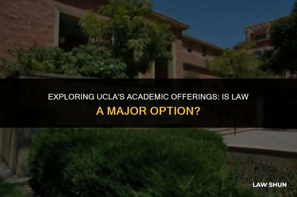 does ucla have a law major