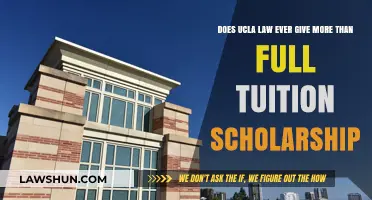 UCLA Law Tuition Scholarships: Beyond Full Ride Possibilities Explored