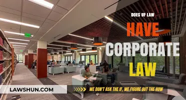 Exploring Corporate Law Opportunities at UF Law School