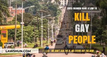 Uganda's Anti-Homosexuality Law: Death Penalty for LGBTQ+ Individuals?