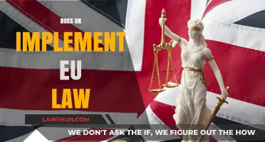 UK and EU Law: Who's in Charge?