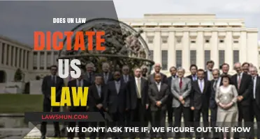 Exploring the Intersection: UN Law and Its Influence on US Legislation