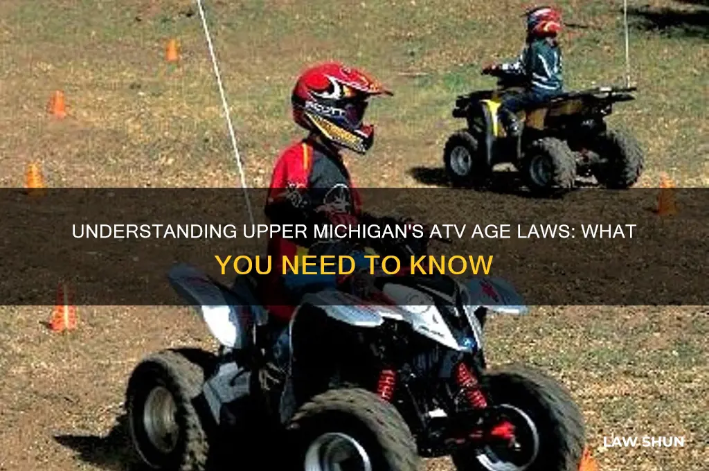 does upper michigan have atv age laws