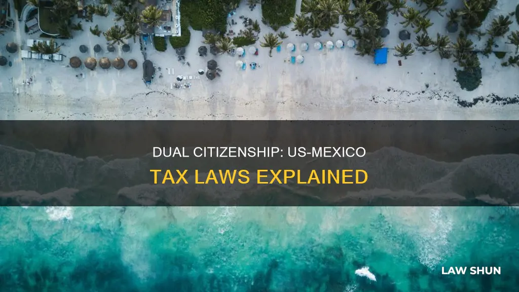 does us allow dual citizenship usa mexico share tax laws