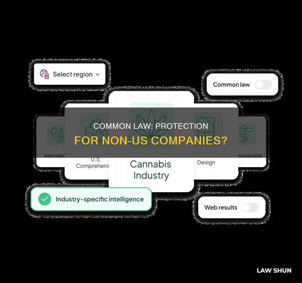 does us common law protect non us comapnies