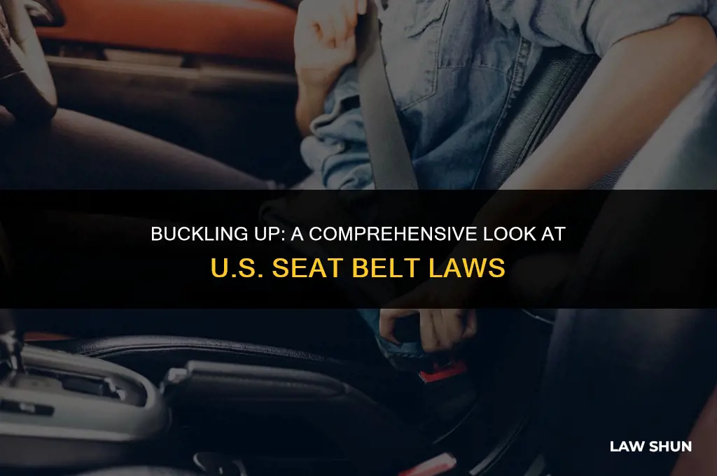 does us have seat belt laws