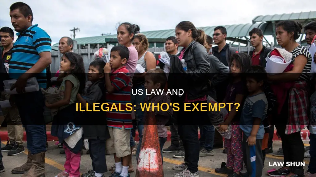 does us law apply to illegals